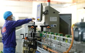 Ra mắt dây chuyền sản xuất bao bì thực phẩm sáng tạo giúp kéo dài thời hạn sử dụng mà không cần chất bảo quản hoặc làm lạnh