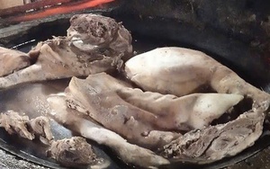 Cảnh báo liên cầu lợn ở Huế: 1 người tử vong, tiêu hủy heo nghi bệnh tại lò mổ