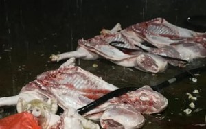 Chợ đầu mối hay chợ đầu độc?