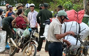Cả ngàn người ở Đà Nẵng vào rừng nhặt thứ hạt rơi từ trên trời xuống, thu tiền triệu