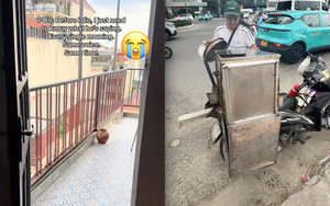 Âm thanh "bí ẩn" ở Việt Nam khiến khách Tây quyết tâm phải tìm ra manh mối trước khi "về với tổ tiên"