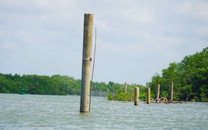 TP HCM: Bất ngờ với hàng chục cọc bê tông "mọc lên" giữa lòng sông Ba Cội