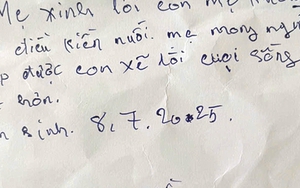 Người mẹ bỏ rơi bé trai trong rừng cao su Đồng Nai với mảnh giấy "xin lỗi con nhiều lắm"