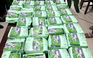 Bắt giữ 3 kẻ trong đường dây ma túy xuyên quốc gia, thu 60 bánh heroin