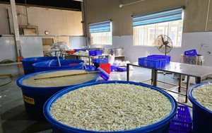 Phát hiện gần 7 tấn chân gà ngâm chất tẩy trắng