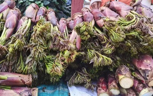 Việt Nam có loại rau mọc dại, người Trung Quốc ví là “cao lương mỹ vị số 1 thế giới”: Tốt hơn cả nhân sâm