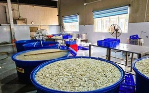 Phát hiện kho hàng chứa 6,9 tấn chân gà bẩn, ngâm hoá chất ở Thanh Hoá