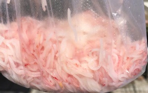 Tìm ra vi khuẩn gây hiện tượng bún đổi màu đỏ bất thường ở Đà Nẵng