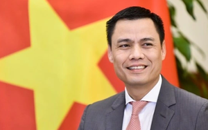 Điều động ông Đặng Hoàng Giang tiếp tục giữ chức Thứ trưởng Bộ Ngoại giao