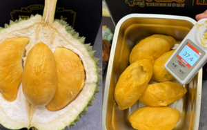 Sầu riêng ‘made in China’ sắp đến ngày hái quả: Sở hữu 1 lợi thế 'ăn đứt' Thái Lan, Việt Nam - sản lượng ra sao?