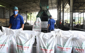 Những bước đi chiến lược của ngành cao su (*): Xanh hóa chuỗi hành trình