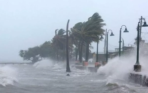 Cơn bão Wipha dự báo có đường đi khá giống siêu bão Yagi