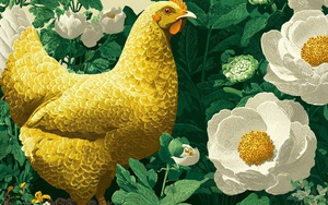 Tử vi ngày mới 19/7: 3 con giáp này làm gì cũng thuận, tình cảm thăng hoa, sự nghiệp khởi sắc