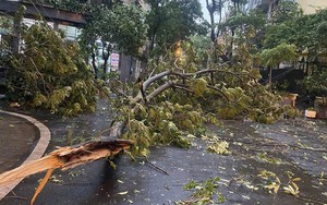 Mưa to, gió lớn ở Hà Nội và nhiều địa phương phía Bắc có phải do ảnh hưởng bão số 3?