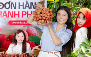 Khi dàn KOL livestream bán vải ngay tại vườn Lục Ngạn: Ngọc Kem, Út Lanh.... nói về những kỷ niệm khó quên