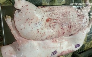 NÓNG: C.P. Việt Nam công bố kết quả giải quyết của công an liên quan tố cáo thịt heo bệnh