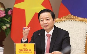 Vụ Tập đoàn Sơn Hải trượt thầu: Phó Thủ tướng phê bình Bộ Tài chính, yêu cầu báo cáo 4 việc trước 5/7