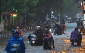 Vì sao mưa lớn ngày càng dữ dội ở Việt Nam?
