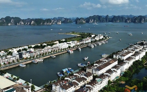 ỨNG PHÓ BÃO SỐ 3 (WIPHA): Quảng Ninh tạm dừng cấp phép rời cảng đối với tàu du lịch, tàu khách