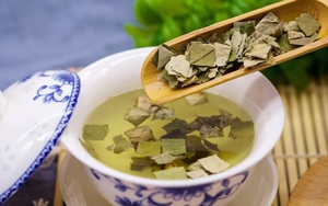 Việt Nam có loại lá dân dã, dùng pha nước uống giúp “quét sạch” mỡ máu, cực tốt cho gan