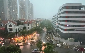 Hơn 29 triệu tin nhắn Zalo cảnh báo khẩn đến người dân trước siêu bão Wipha