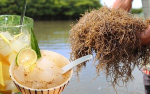 Món đặc sản mát lành ngày hè mang cái tên độc lạ ở Quảng Ngãi, nhiều người xem "Gia đình HAHA" mới biết