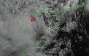 Bão số 3 đã nằm ngay trên vùng biển ven bờ Hưng Yên, Ninh Bình, chuẩn bị tiến thẳng vào đất liền