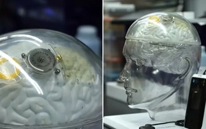 Trung Quốc thử nghiệm chip đọc não: Cạnh tranh nóng với Neuralink của Elon Musk