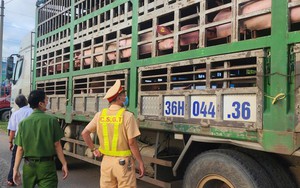 Phát hiện điều bất thường trên chiếc xe tải di chuyển qua xã Tuy Phước lúc rạng sáng