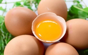 Bài thuốc từ quả trứng gà