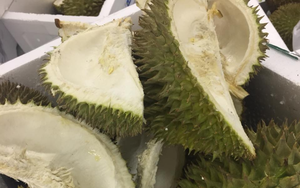 Phân bón sinh học từ vỏ sầu riêng và vỏ sò