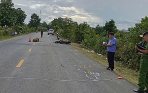 Tông vào con bò rồi tử vong, ai chịu trách nhiệm?