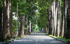 “Báu vật” hơn trăm tuổi giữa lòng siêu đô thị 114 tỷ USD: Dấu ấn xanh hiếm có ở châu Á