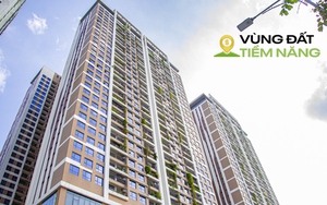 “Nhịn ăn” cả năm chỉ đủ mua 1 m2 chung cư Hà Nội