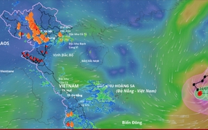 Bão số 4 năm 2025 tên gì, đang ở đâu trên Biển Đông?