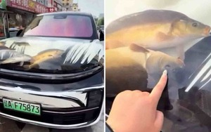 Đại gia Trung Quốc biến mui xe sang thành bể cá di động, gây phẫn nộ và bị cảnh sát 'sờ gáy'!