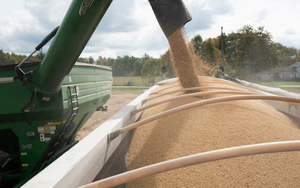 Trung Quốc dư thừa một mặt hàng, nông dân Mỹ ‘ngồi trên đống lửa’