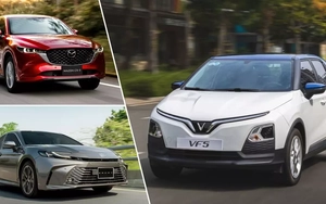 Ô tô bán chạy nhất các phân khúc trong nửa đầu năm 2025 tại Việt Nam