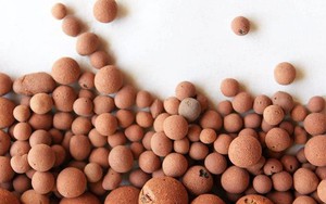 Viên đất sét nung xử lý nước thải sinh hoạt