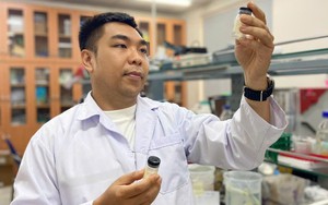 Thạc sĩ tạo khung xương nhân tạo từ… vỏ tôm, rong biển