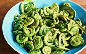 Việt Nam có loại rau mọc dại, từng được thương lái Trung Quốc đổ xô mua: Hoá ra là vị thuốc toàn năng