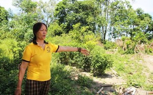 Vụ chuyển 300m2 đất vườn sang đất ở phải nộp thuế gần 4,5 tỷ đồng, Sở NN&MT tỉnh Nghệ An nói gì?