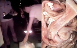 Đột kích chợ trong đêm, phanh phui cơ sở bán lòng lợn ngâm hoá chất doanh thu 7 tỷ đồng, tịch thu hàng trăm kg lòng sắp “tuồn” ra thị trường