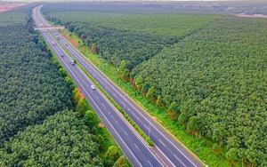 Chuẩn bị khởi công mở rộng cao tốc TP HCM - Long Thành lên 8-10 làn xe