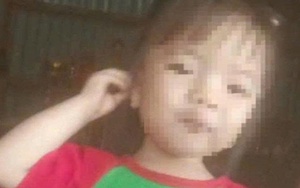 Lâm Đồng: Bé gái 2 tuổi mất tích bí ẩn