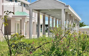 Chợ hơn 30 tỷ ở Đà Nẵng xây xong 'để ngắm'