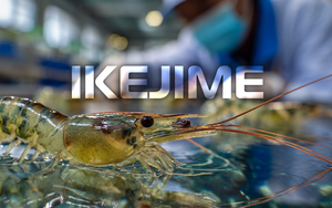 Bí mật Ikejime của Minh Phú và kho báu 4,34 tỉ USD chỉ sau 5 tháng