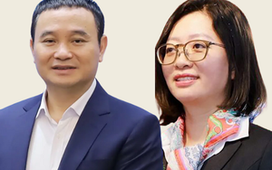 Bảo hiểm PJICO làm ăn ra sao dưới thời 2 CEO vừa bị khởi tố?