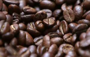 Giá cà phê giảm xuống mức thấp nhất 1 năm, nguyên nhân đến từ Việt Nam?