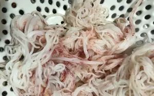 Bún tươi đổi màu lạ tại Đà Nẵng: Cơ sở sản xuất bị đình chỉ khẩn cấp